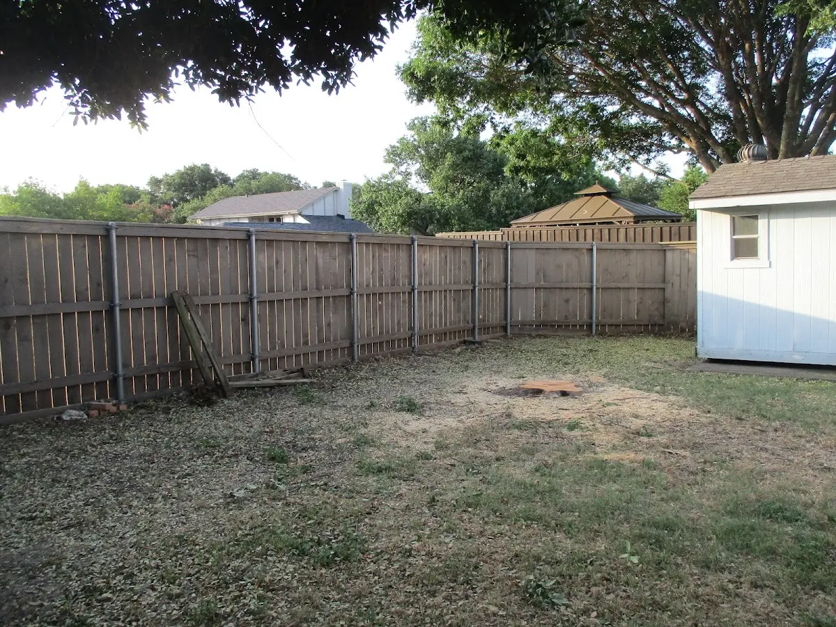 Cleared yard after professional tree removal in Brooktondale